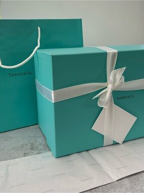 Tiffany & Co. Classic LG Gift Presentation Bundle Box, Bag, Tissue, Card, Ribbon